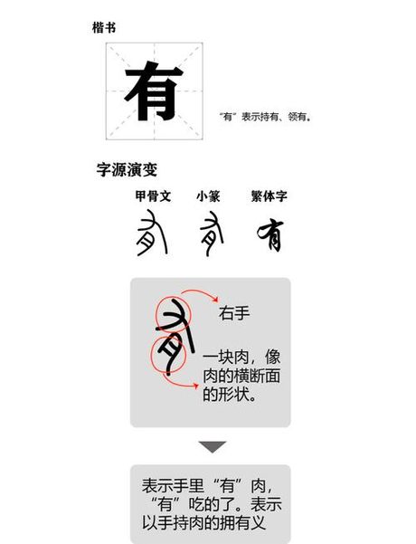 寸字旁的字有哪些，揭秘寸字旁的字，了解汉字的奥妙